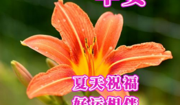 早上好视频大全,精选“早上好”视频大全